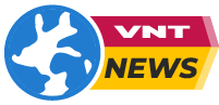 VNT News